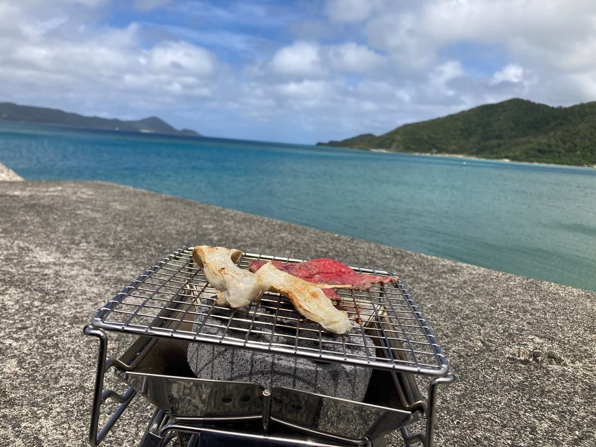 革新的ソロBBQセットレンタル、奄美大島でスタート！