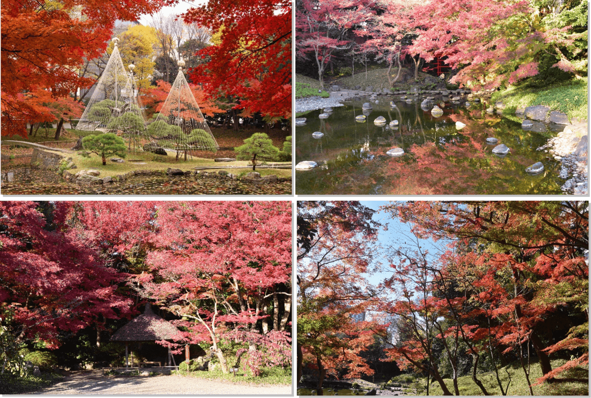 【小石川後楽園】11/17~「深山紅葉を楽しむ」開催のお知らせ