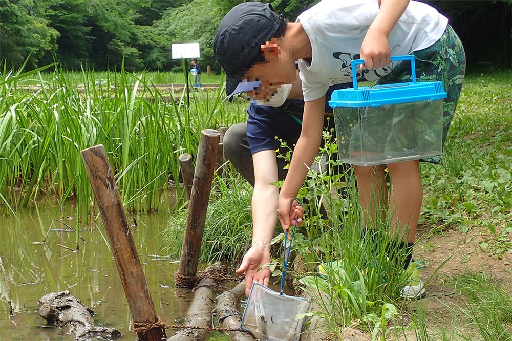 【小峰公園】6/16(日)「里山季節めぐり～生きもの観察会＆篠竹フォトフレーム作り～」参加者募集中！