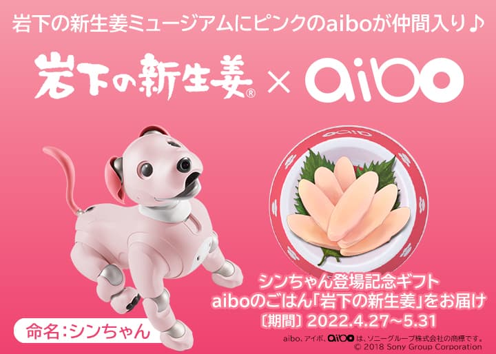 【岩下の新生姜×aibo】ピンクのaibo「シンちゃん」が4月27日から岩下の新生姜ミュージアムに仲間入り!