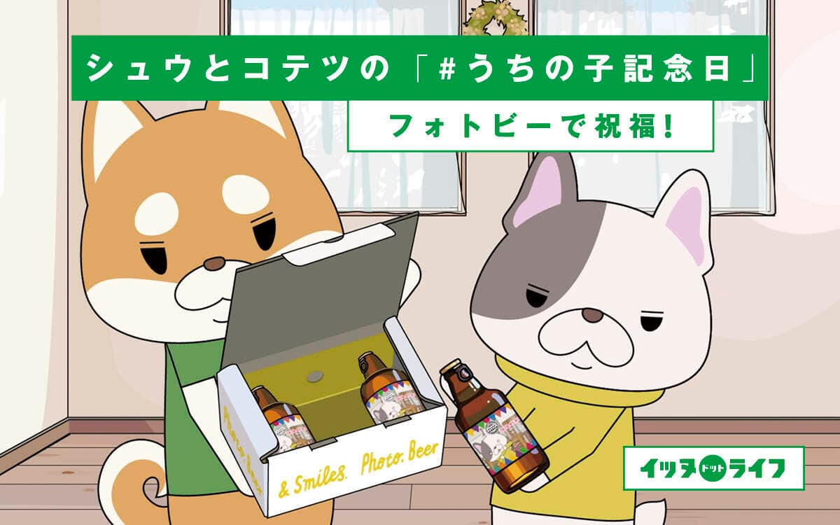 rakanu、犬専門YouTubeチャンネル「イッヌドットライフ」にてサッポロビールとタイアップ。メインキャラクター コテツの「#うちの子記念日」を、飼い主さんが「フォトビー」で祝福！