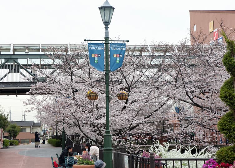 つかしん天然温泉「湯の華廊（Ｒ）」春爛漫キャンペーン開催 -4月の特別湯は「桜皮（オウヒ）風呂」、桜に包まれたつかしんへぜひお越しください-