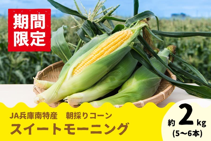 甘さがぎゅぎゅっと！　兵庫県産「スイートモーニング」の予約販売開始！ 6月下旬頃順次発送！