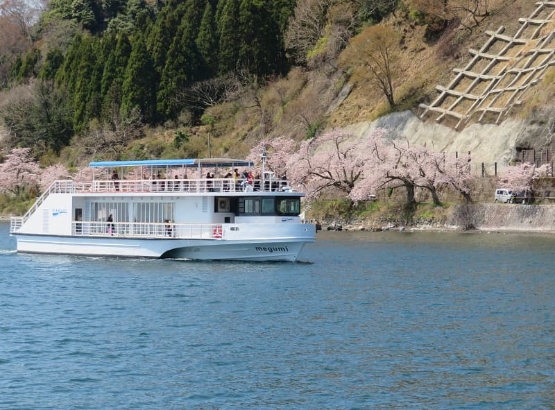 びわ湖の最北端、日本さくら名所100選「海津大崎の桜」を愛でるお花見船を期間限定で運航！ 「海津大崎桜クルーズ2025」