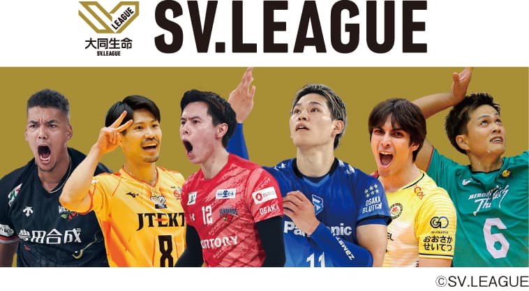 世界トップレベルのスター選手が激闘！「BS12 SVリーグ中継2024-25」 1月5日（日)「大阪B vs. STINGS愛知」