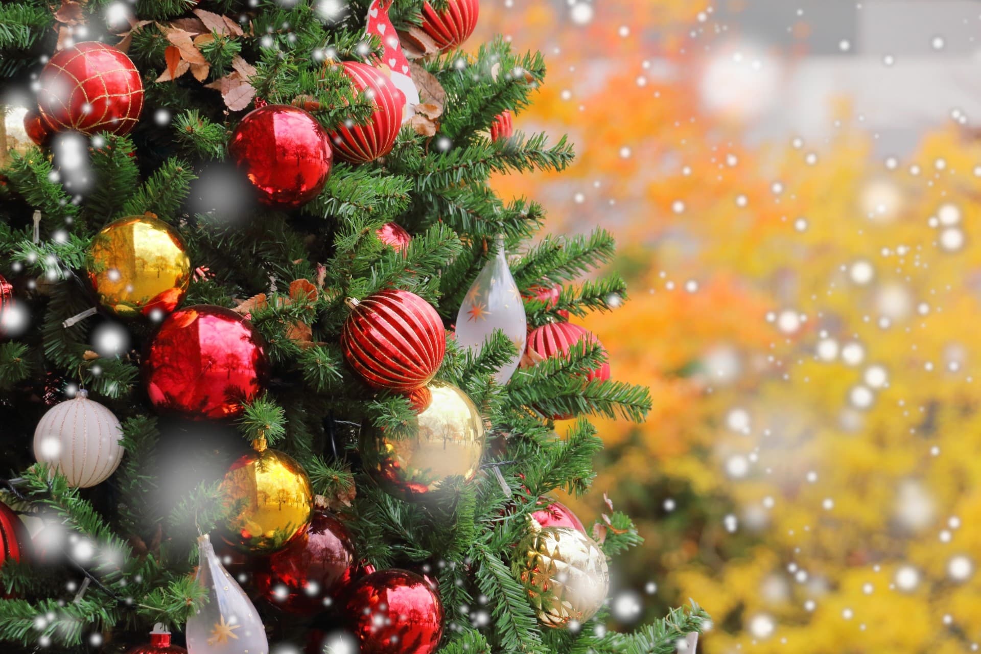 まだ間に合う!「クリスマス旅におすすめの宿」特集公開 舞浜から人気温泉地まで多彩な宿の限定プランを紹介|リロホテルズ&リゾーツ