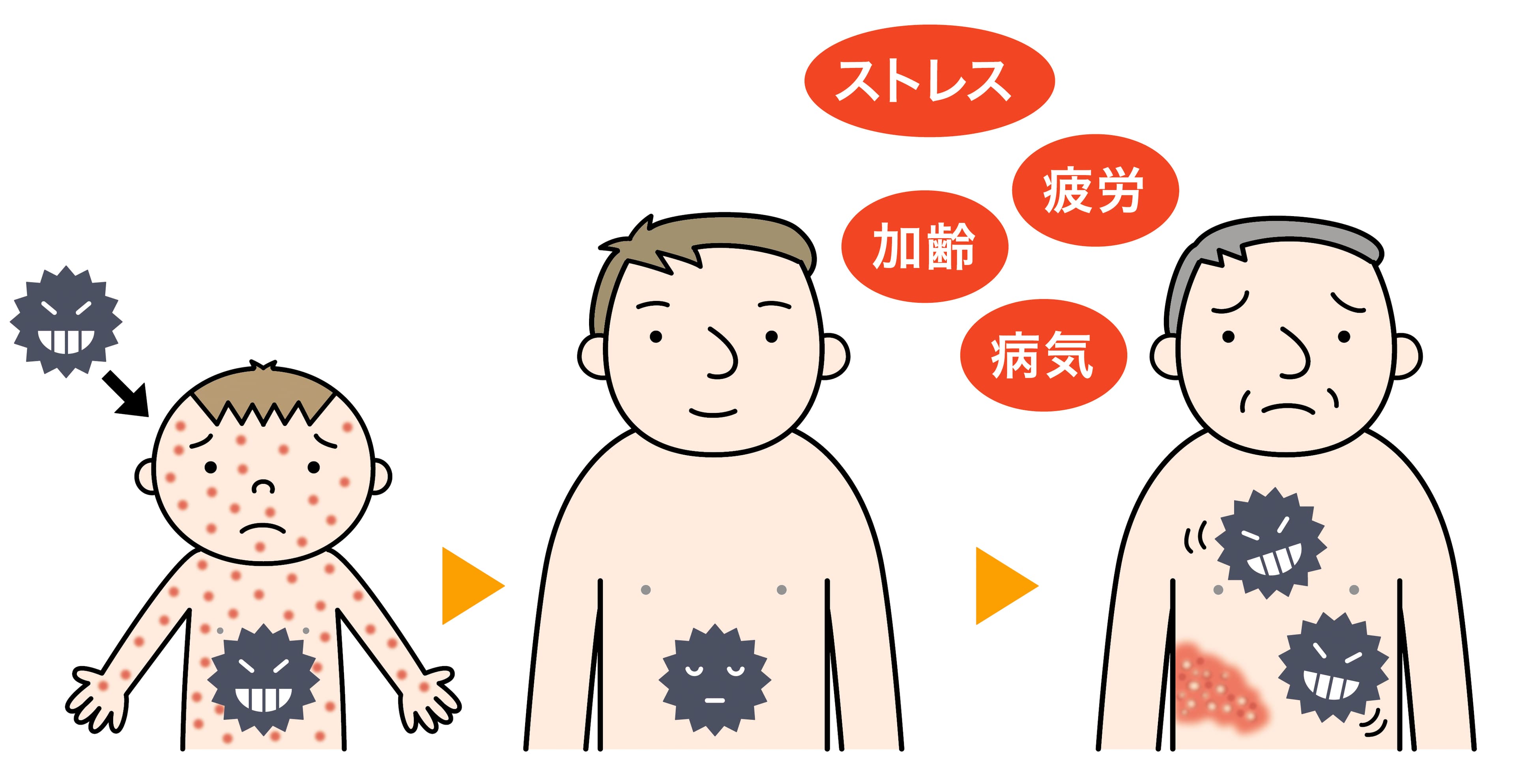 ドクターズチェック「帯状疱疹危険度チェック」について、大正製薬が12/7に新着情報公開!!