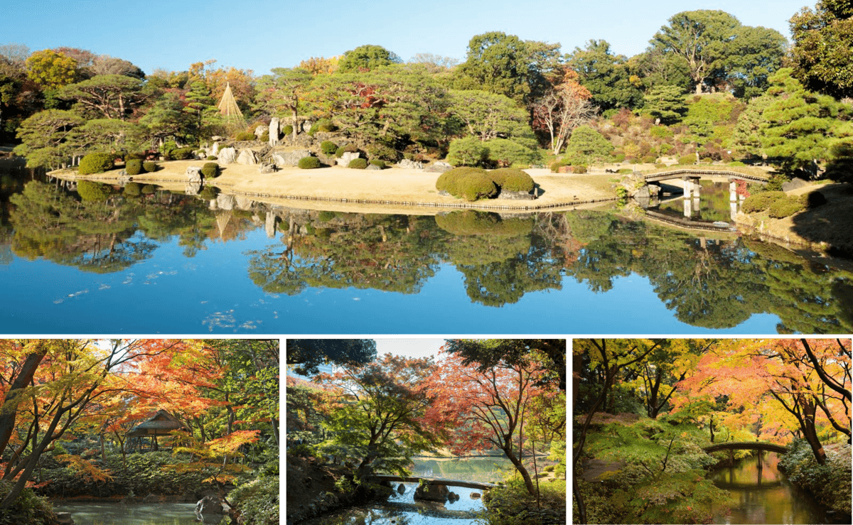 【10/21～開催】秋の六義園　～六義園で日本文化に親しむ～