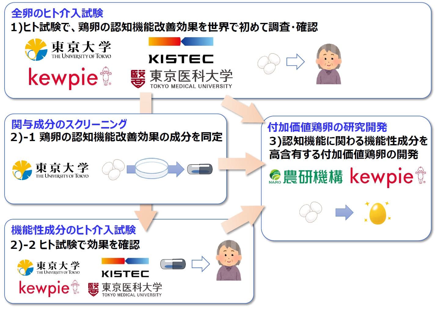 鶏卵の摂取による「認知機能改善効果」を明らかにしていきます。令和3年度イノベーション創出強化研究推進事業に採択。