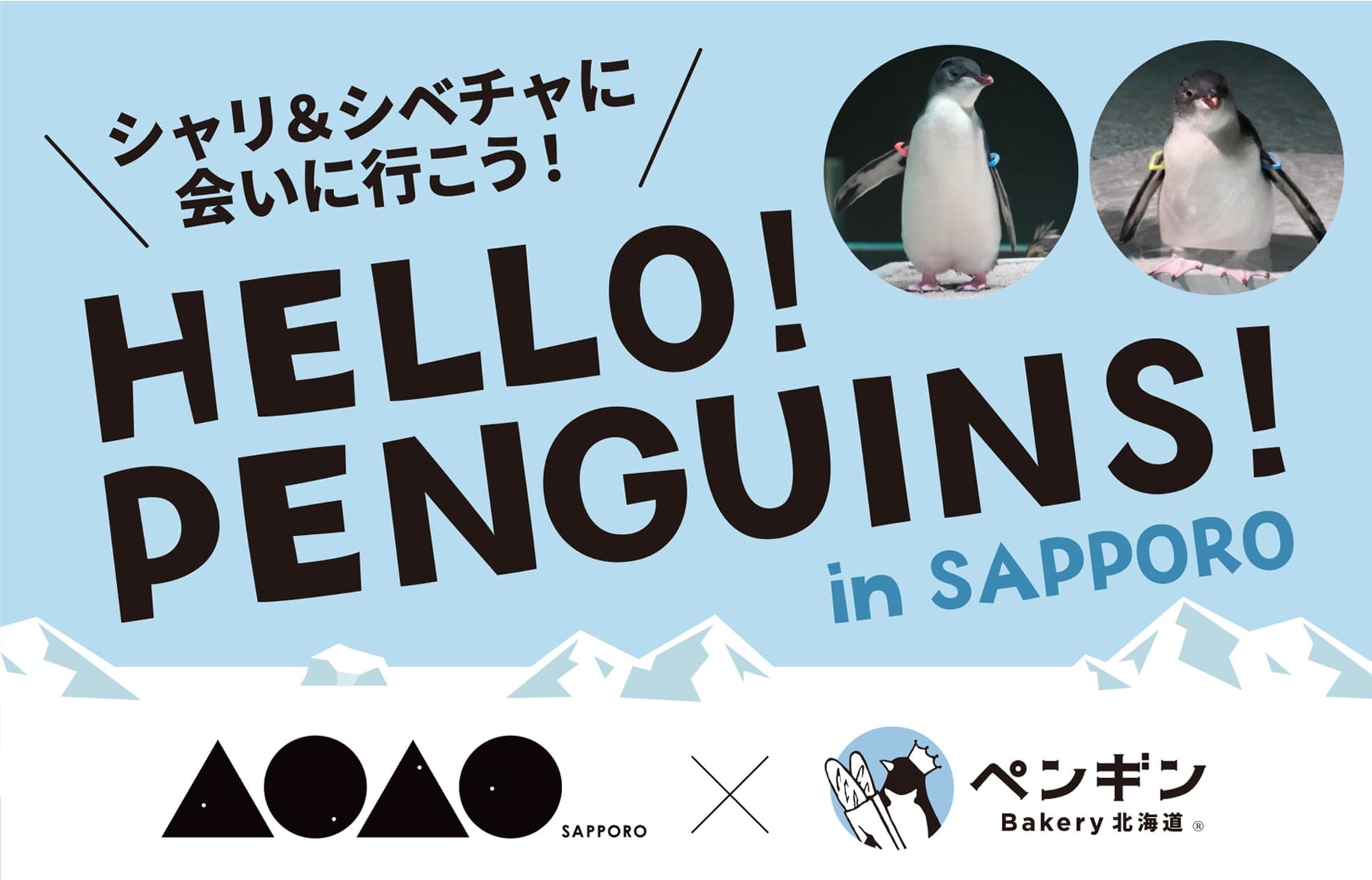 【都市型水族館『AOAO SAPPORO』 × ペンギンベーカリー】コラボ企画『HELLO!PENGUINS!』 期間限定の商品発売&特典プレゼント!