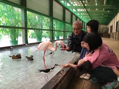 水鳥とのふれ合い