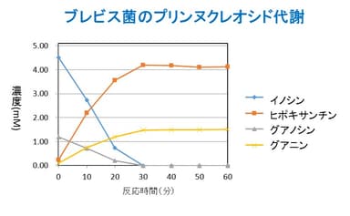 グラフ：ブレビス菌のプリンヌクレオシド代謝