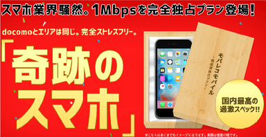 超高速独占プラン：月額29.8万円