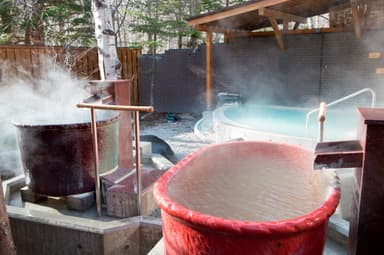 壺湯(休暇村日光湯元)