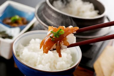 温泉卵と一緒にイカ漬けのっけ丼(休暇村竹野海岸)