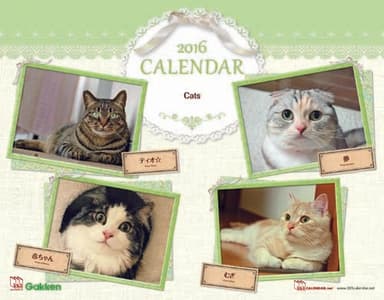 2016年Catsカレンダー表紙