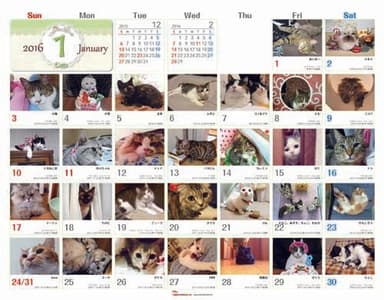 2016年Catsカレンダー中面1月