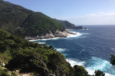 屋久島・移住体験チケット