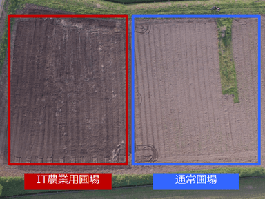 通常圃場とIT農業用圃場