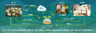 スマートやさい概要図