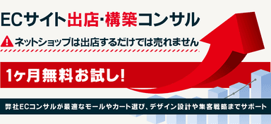 月5万からのECサイト出店・構築コンサル