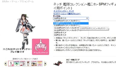Amazonにおけるネッチポイント購入画面例