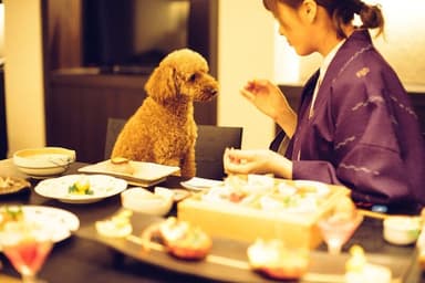 愛犬とともにお部屋食