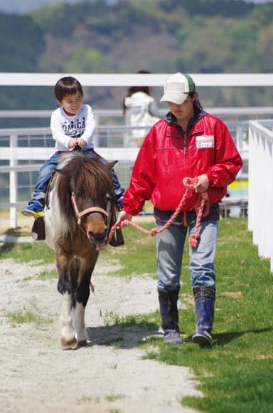 ポニーの曳き馬