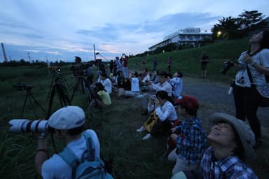 「ツバメのねぐら入り観察会」の様子