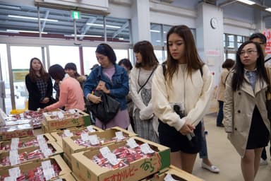 地域の直売所を見学・買い物