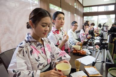 日本茶のお茶淹れ体験