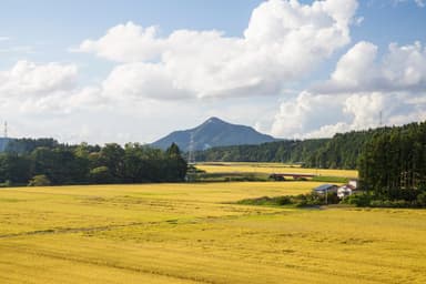 五城目町 1