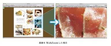 「WebZoom」デモンストレーション