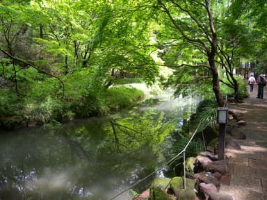 生田緑地(多摩区)