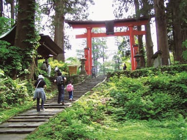 羽黒山の石段ウォーキング