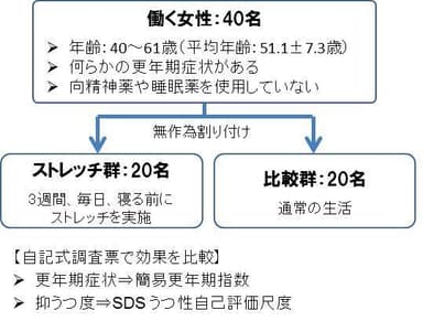 図1 研究の流れ