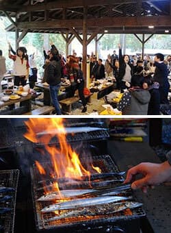 全国「野宴」サミット　イメージ