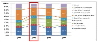 腸内フローラの分布割合(全体前後比較)