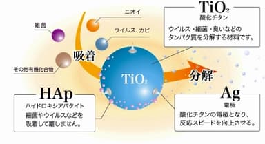 雑菌を不活性にする仕組み