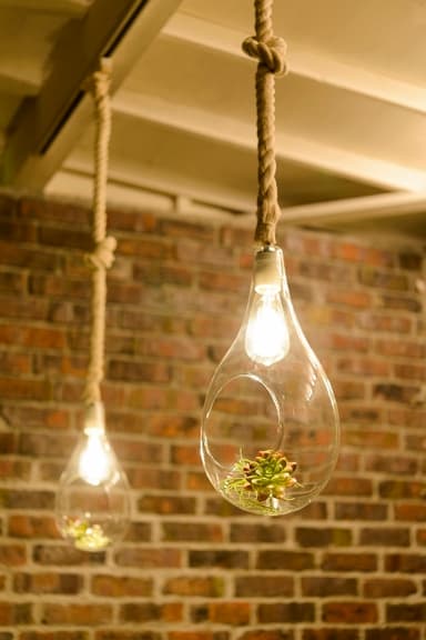 BOTANIC HANGING LIGHT