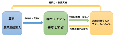 実地経験