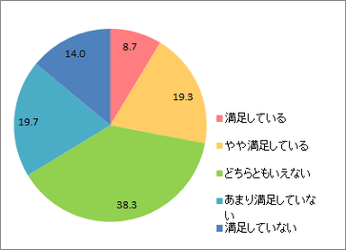 現状メイク満足_全体