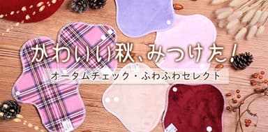 秋の限定セット「かわいい秋、見つけた」