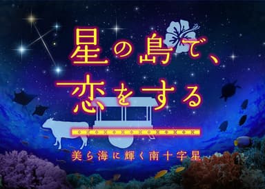 『星の島で、恋をする　美ら海に輝く南十字星』