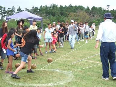 「全日本椰子の実ころがし大会」の様子