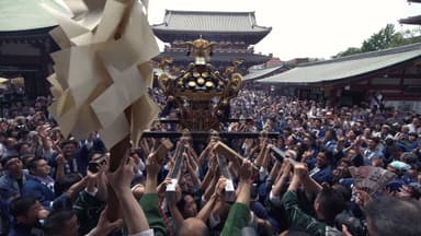 MATSURI 1　東京 三社祭