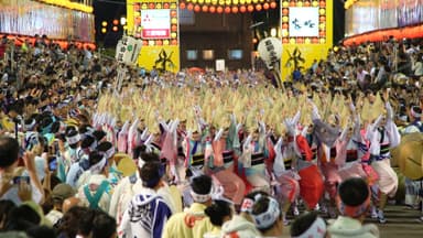 MATSURI 4　徳島 阿波踊り