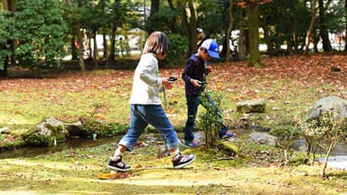 寺社の庭で元気にまちくさを探す子どもたち