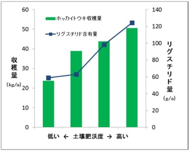 図2　ホッカイトウキの収穫量とリグスチリドの含有量