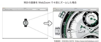 「WebZoom」利用イメージ